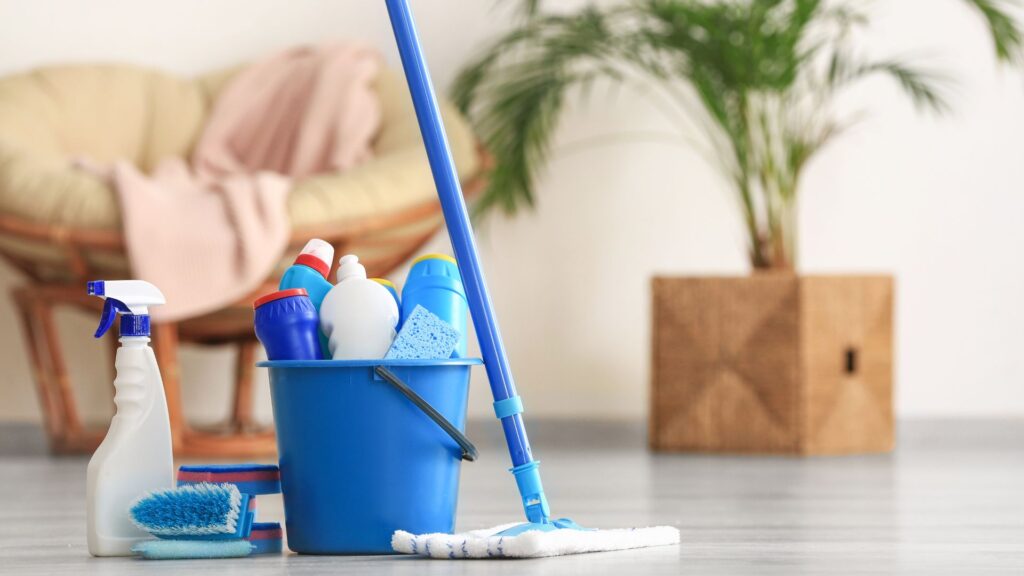 Professional Cleaning Services Near Me
