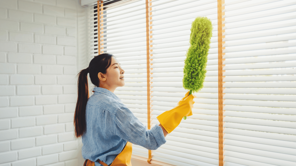 Professional Cleaning Services in San Marcos