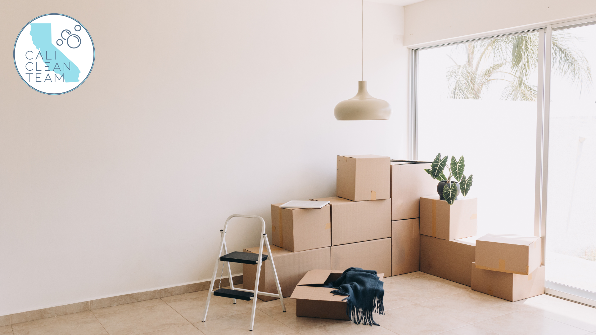 Move-out Cleaning 