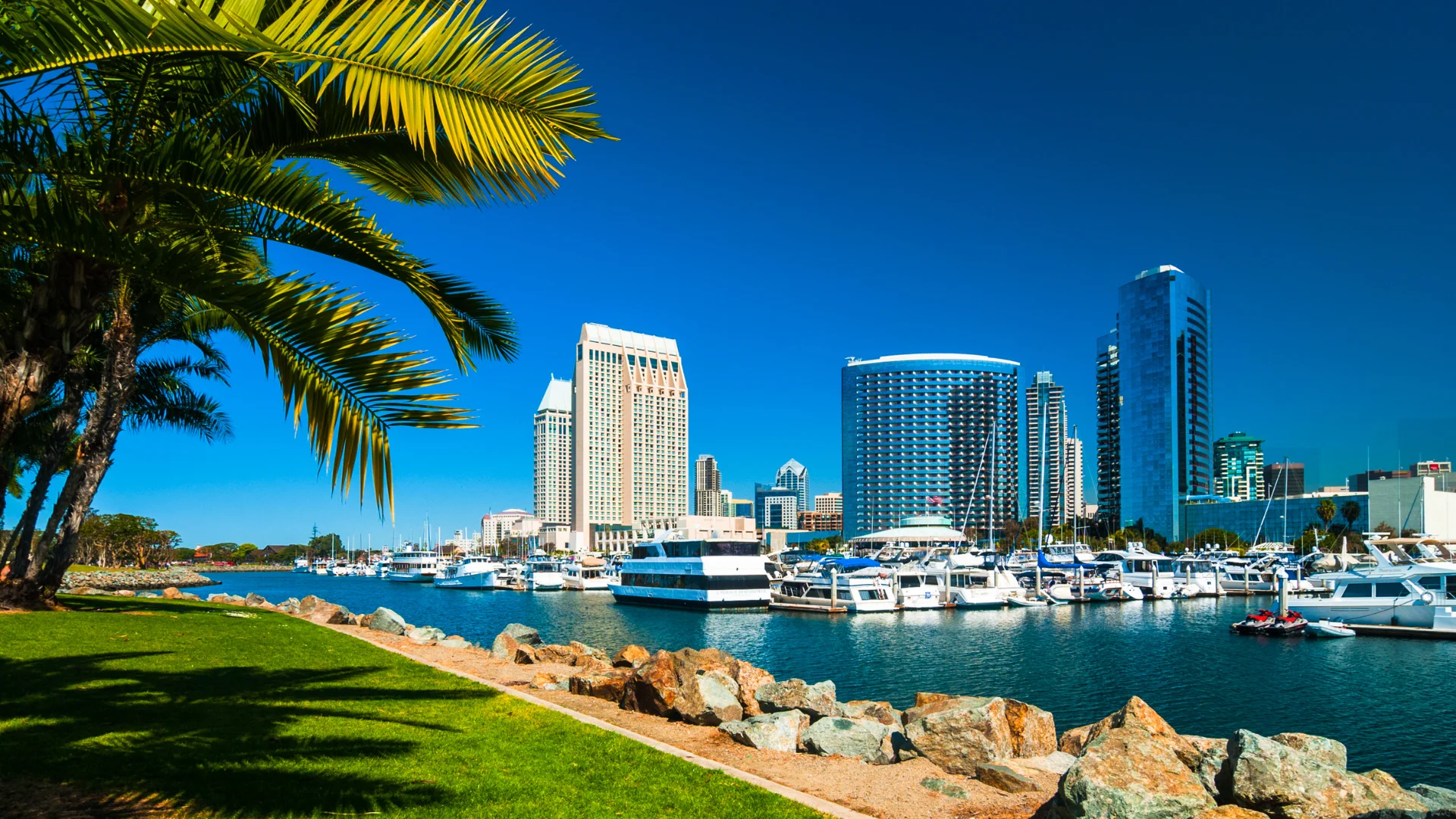 House Cleaning in San Diego