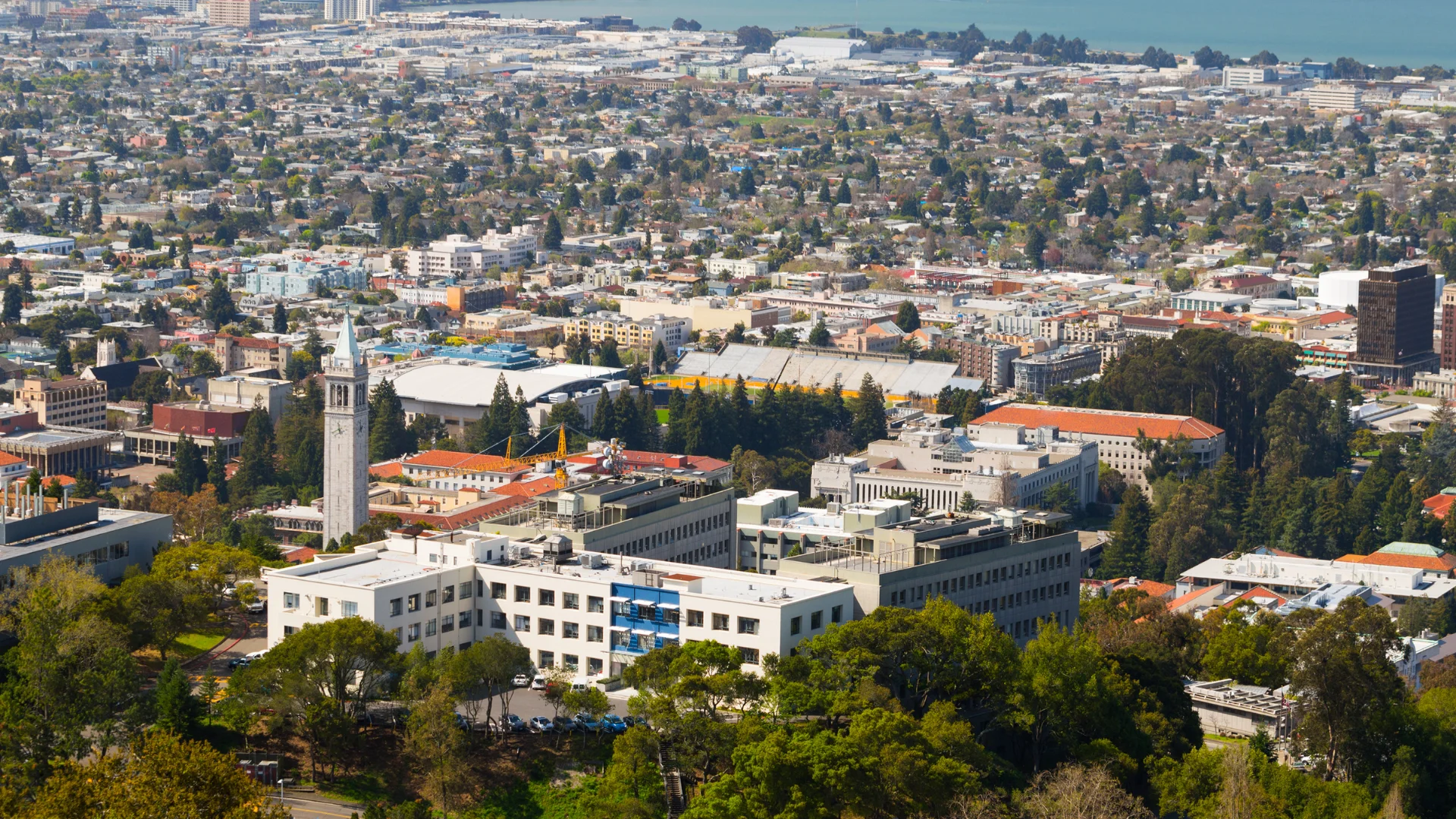House Cleaning in University City